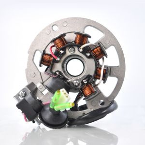 Stator for E-Ton AXL 50 Lightning DXL 90 Sierra RXL 70 90 Viper TXL 50 Thunder Polaris Predator Scrambler 50 2000-2007